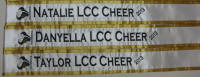 LCC Cheer 2013